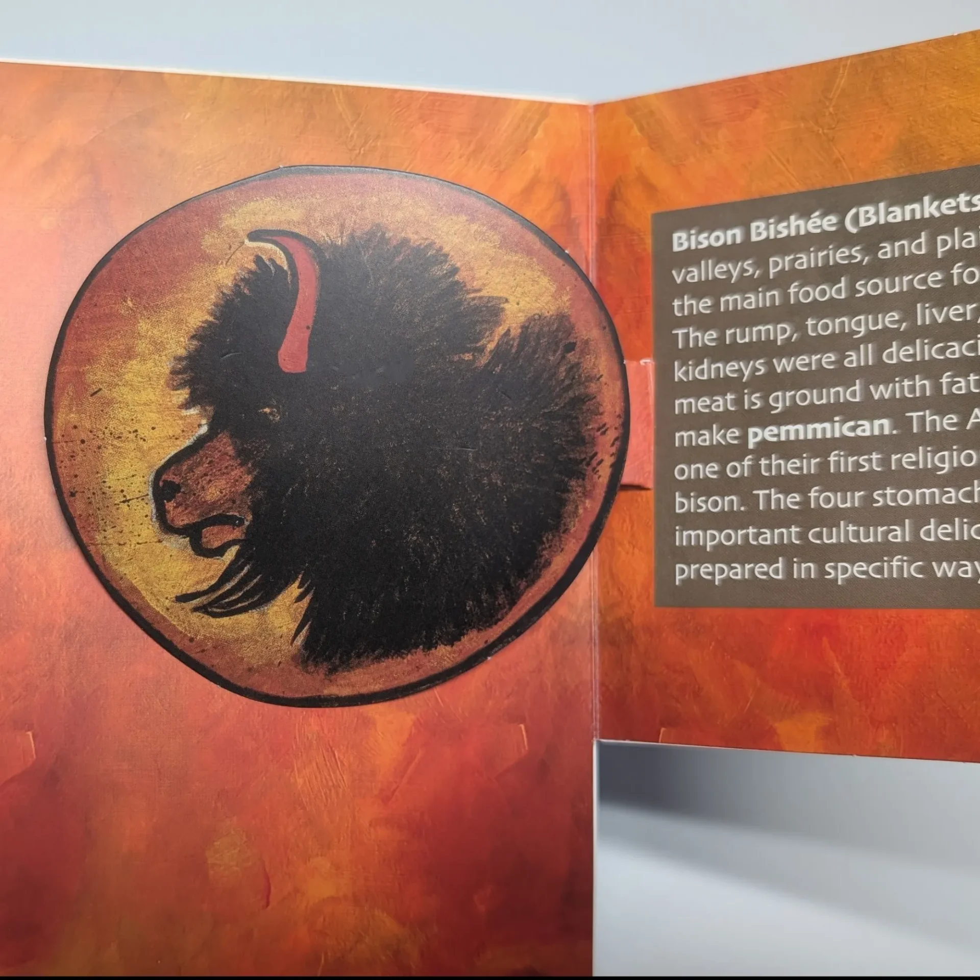 Illustration of a fierce lion's head inside a round frame on a fiery background.